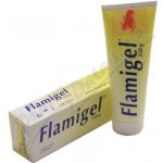 Flamigel hydrokoloid. gel na hojení ran 250 ml – Hledejceny.cz