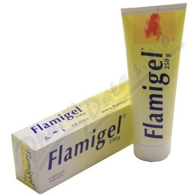 Flamigel hydrokoloid. gel na hojení ran 250 ml – Hledejceny.cz