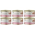 Applaws Cat Tuňák s krevetami 6 x 70 g – Hledejceny.cz