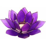 Nefertitis Svícen lotos pro korunní čakru NF6697 - cca 13,5 cm – Zboží Mobilmania