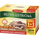 Terezia Company Hlíva ústřičná s rakytníkovým olejem 120 kapslí – Sleviste.cz