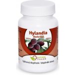 Natural Pharm Hylandia dockrillii Blushwood 200 tablet při onkologických onemocněních – Hledejceny.cz
