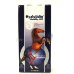 Hyalutidin Mobility HCC 2 x 500 ml – HobbyKompas.cz