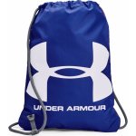 Under Armour UA Ozsee 1240539-402 Blu – Hledejceny.cz