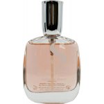 Alfaparf Milano Semi di Lino Sublime parfémovaná voda na vlasy 50 ml – Hledejceny.cz