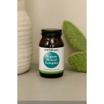 Viridian Trace Mineral Complex 90 kapslí – Hledejceny.cz