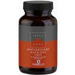 Terranova Antioxidant 50 kapslí – Hledejceny.cz