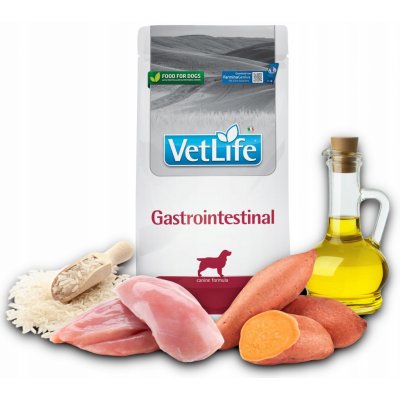 Vet Life Dog Gastrointestinal 2 kg – Zboží Mobilmania