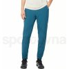 Dámské sportovní kalhoty Salomon Wayfarer Ease Pants W LC2207500 deep dive