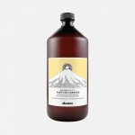 Davines NATURALTECH Purifying čistící šampon na mastné nebo suché lupy 250 ml – Zboží Dáma