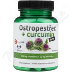 GALMED Ostropestřec + curcumin forte 60 kapslí – Hledejceny.cz
