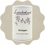 Lunderland Vepřový kolagen hydrolyzovaný 600 g – Hledejceny.cz