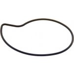 Piaggio Těsnění vodní pumpy Piaggio 125-300 485080 – Sleviste.cz