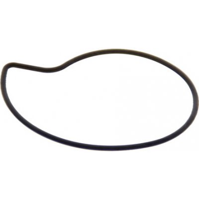 Piaggio Těsnění vodní pumpy Piaggio 125-300 485080 – Sleviste.cz