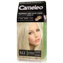 Delia Cameleo barva na vlasy 9.13 champagne Blond