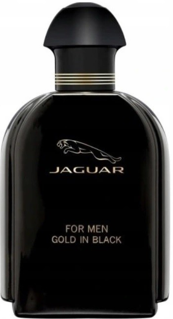 Jaguar Jaguar Gold In Black toaletní voda pánská 100 ml tester