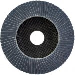 Milwaukee Lamelový kotouč 125 mm K40 4932472224 – Zboží Dáma