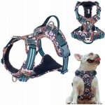 Truelove Postroj pro psa L vícebarevný easy walk s reflexními prvky – Hledejceny.cz