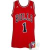 adidas NBA Derrick Rose swingman