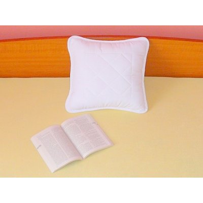 Eurotoys Polštář 40x40 cm se zipem – Sleviste.cz