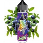 Uahu Shake & Vape Disaster Blueberry 12 ml – Zboží Dáma