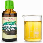 Bylinné kapky Gastrodie vyvýšená TCM Pavlovy tinktura 50 ml – Hledejceny.cz