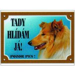 Dafiko Tabulka kolie – Hledejceny.cz