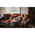 Frontpro 4 - 10 kg 28,3 mg 3 žvýkací tablety – Zboží Mobilmania