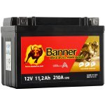 Banner AGM Plus 512 01