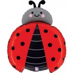 Grabo Fóliový balónek Beruška 24" 61 cm – Zboží Dáma