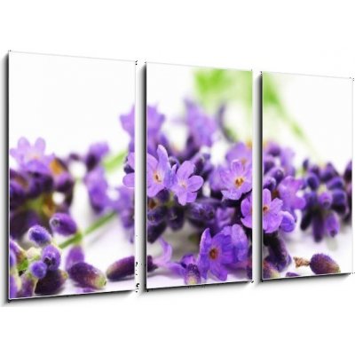 Obraz 3D třídílný - 90 x 50 cm - Aroma, Lavendel Aroma, levandule – Zbozi.Blesk.cz