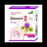 Silymarin Forte 250 mg mikronizovaný ostropestřec s vit D3 40 tablet – Hledejceny.cz