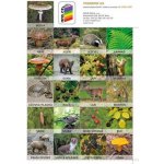 Sada pexesa Já a můj svět 2 – Hledejceny.cz