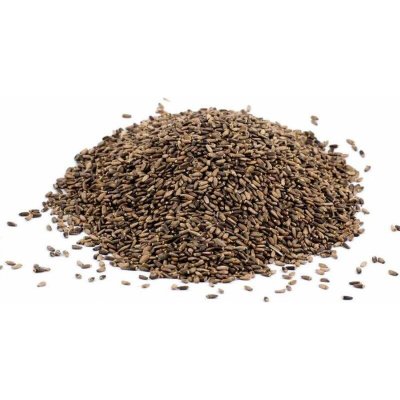 Krmiva Hulín Ostropestřec Mariánský 1 kg – Hledejceny.cz