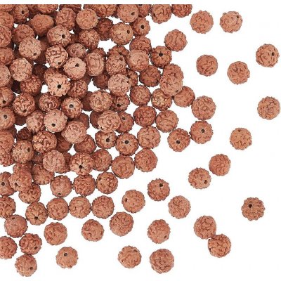 Přírodní rudraksha korálek - ∅ 6 - 8 mm - 1 ks – Hledejceny.cz