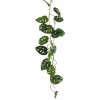 Květina Filodendrón - Philodendron split girlanda zelená Délka 120 cm (N323861)