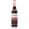 Šťáva Monin Raspberry Tea 0,7 l