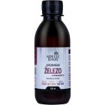 Zdravý Svet Lipozomální železo 200 ml – Hledejceny.cz