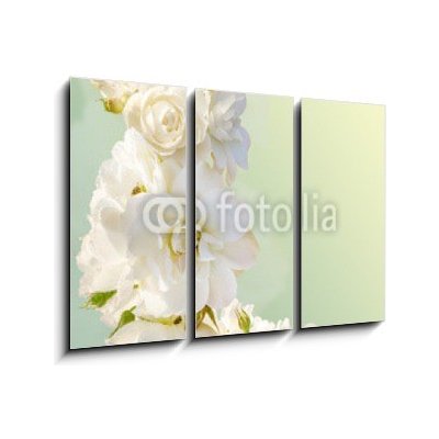 Obraz 3D třídílný - 105 x 70 cm - Beautiful vertical frame with a bouquet of white roses Krásný svislý rám s kyticí bílých růží – Zboží Mobilmania
