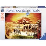 Ravensburger Savana hrdí Masajové 3000 dílků – Zbozi.Blesk.cz