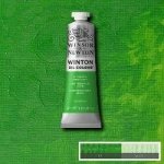 Olejová barva Winsor & Newton Winton 200 ml Perm Grn Light – Hledejceny.cz