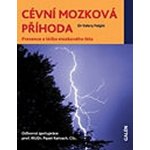 Cévní mozková příhoda -- Prevence a léčba mozkového iktu Valery Feigin – Hledejceny.cz