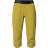 Pánské sportovní kalhoty Rafiki Moonstone pánské kraťasy žluté