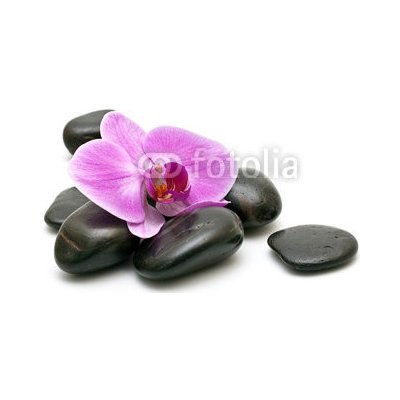 WEBLUX 32282499 Fototapeta vliesová Pink orchid and zen Stones on a white background Růžová orchidej a zen kameny na bílém pozadí rozměry 270 x 200 cm – Zboží Mobilmania