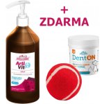 VITAR ArtiVit Sirup 1000 ml DentON 100 g kartáč – Hledejceny.cz