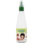 Süssina Tekuté sladidlo 220 ml – Zboží Dáma