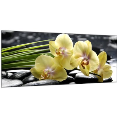 Obraz skleněný květy žlutá orchidej na černých kamenech - 60 x 80 cm – Zboží Mobilmania