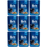 Brit Premium Cat Kitten Chicken Chunks 100 g – Sleviste.cz