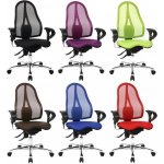 Topstar Sitness 15 – Sleviste.cz