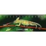 Pravítko 3D - Chameleon – Hledejceny.cz